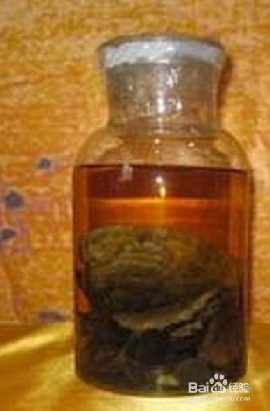 鹿茸的功效以及食用方法