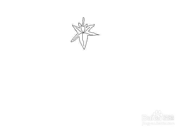 简笔画之枫叶的画法