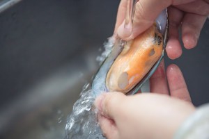 教大家做白汁煮青口