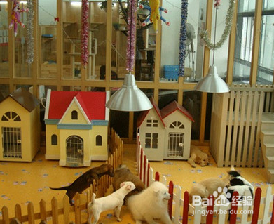 如何在微电商移动商城个人创业？