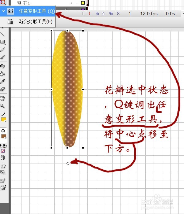 用flash绘制一朵花