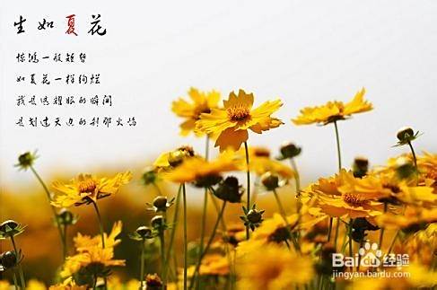 泰戈尔名言名句中英文对照赏析适合中学生 百度经验 泰戈尔名言名句中英文对照赏析适合中学生 百度经验