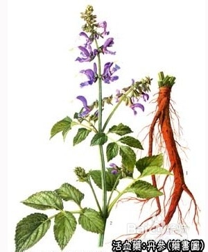 什么食物让您睡得更香