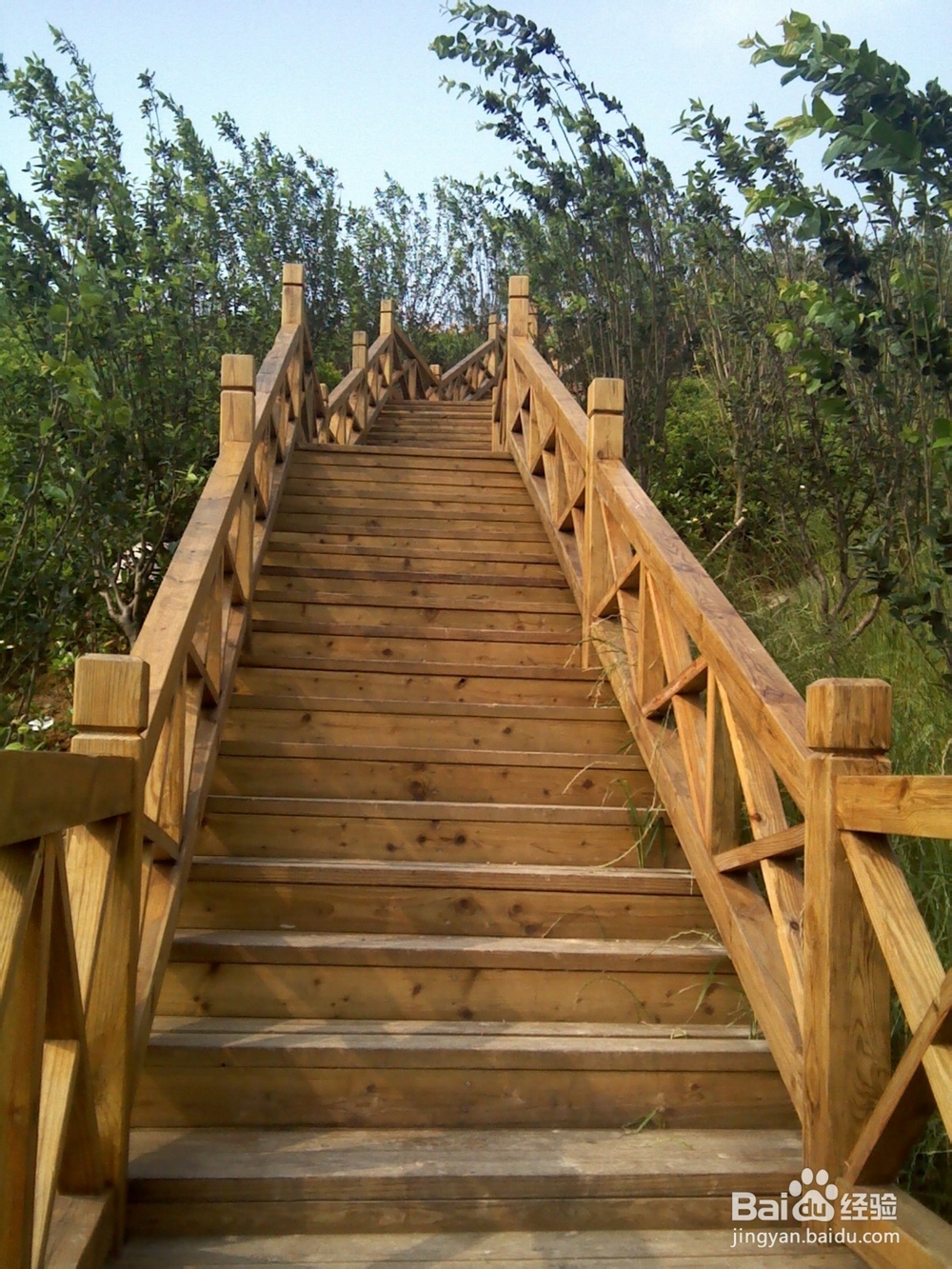 十里蓝山(玛琪雅朵花海)好玩吗