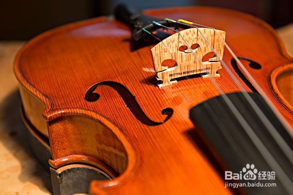 怎样选购提琴