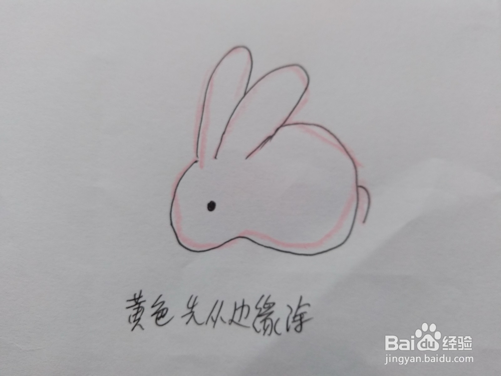 教你怎样画小白兔160