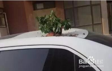 台风来了要注意哪些