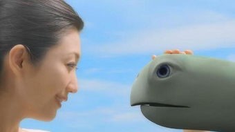 手机拍的视频怎么导入PR
