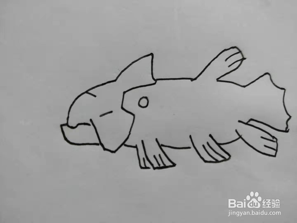 《口袋妖怪》古空棘鱼手绘怎么画？