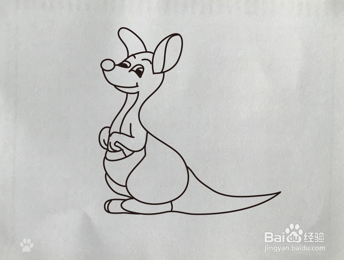 【简笔画】袋鼠的简笔画