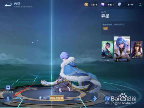 王者荣耀奕星踏雪寻梅图片