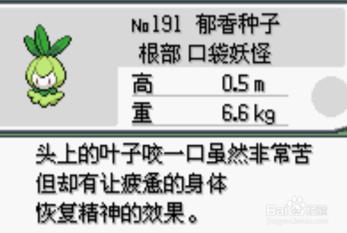 口袋漆黑的魅影:郁香种子在哪里抓?