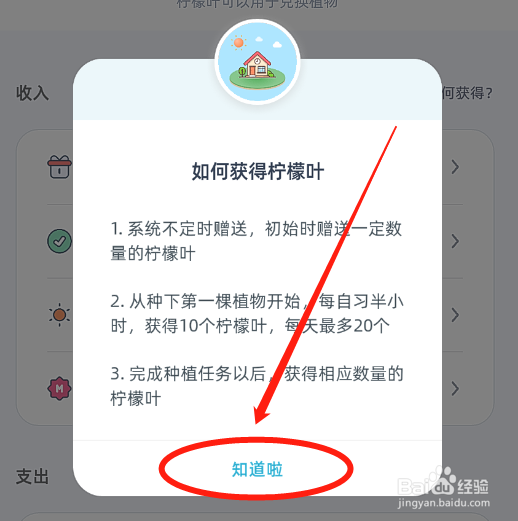 柠檬自习室app怎么查看柠檬叶的获取方式