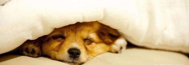 如何上课才能不打瞌睡