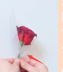 1支花包装教程