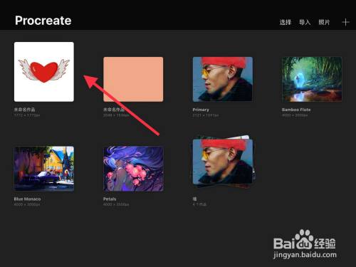 進入procreate主界面,選擇一張圖片打開.