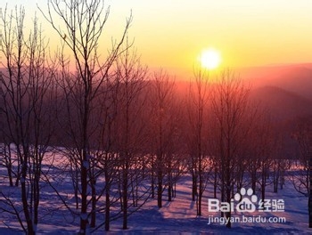 雪国风光—冬季结伴去哈尔滨吧！：[3]雪乡