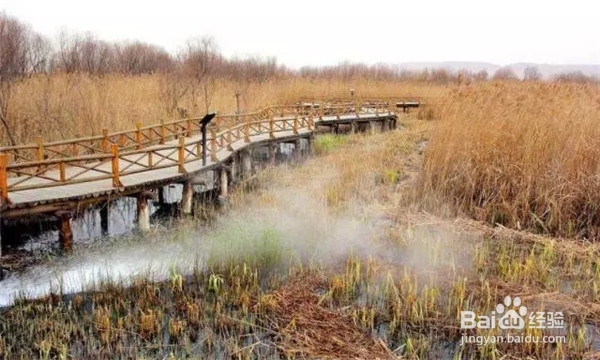 羡慕一号公路吗,陕西也将有这样的一条公路哦