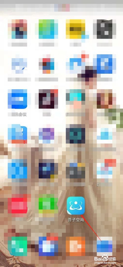 芥子空间sky白鸟版怎么下载