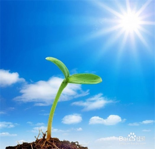 如何保持好心态?