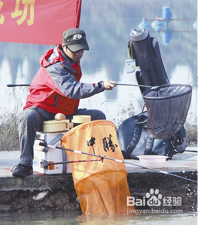 立冬后怎样钓鲫鱼