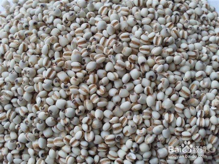 家常菜私房菜做法之：[7]润肺止咳汤