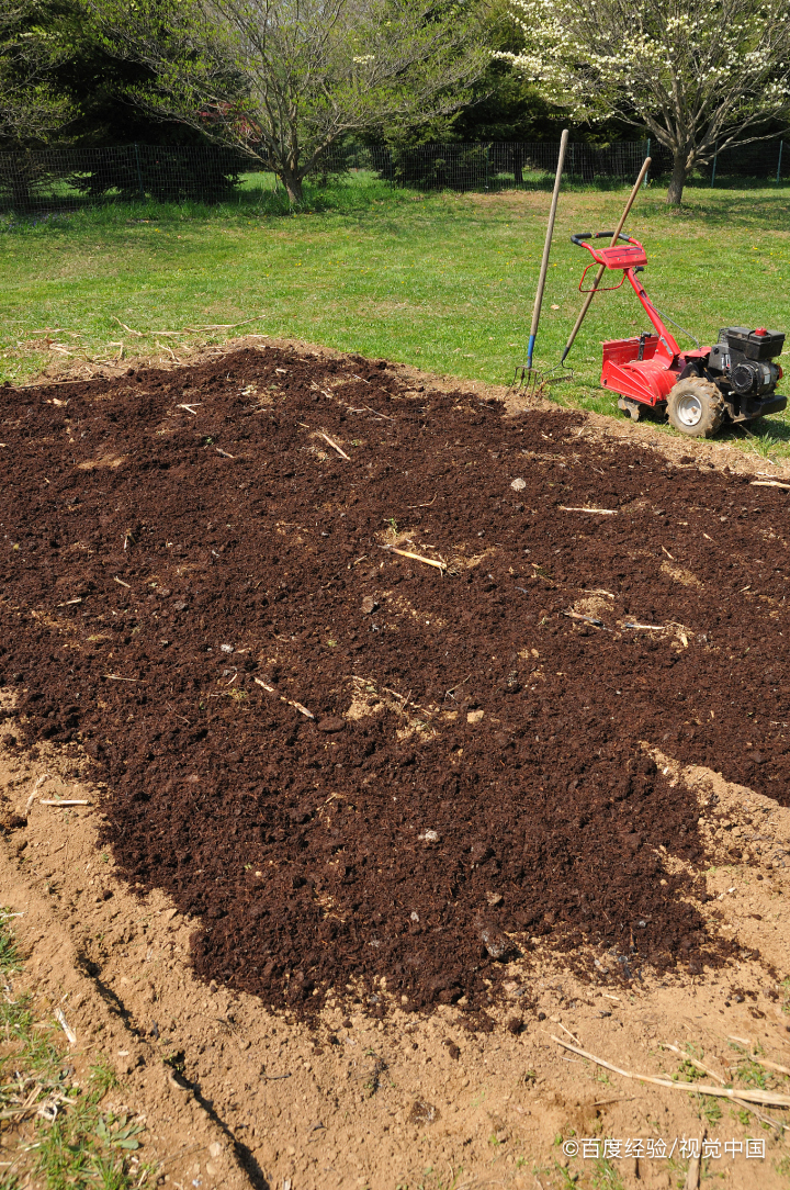 让有机肥料对黏土的土壤结构进行改良,让黏土土壤结构疏松,土壤渗透力