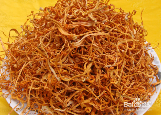 吃虫草花有哪些好处和坏处