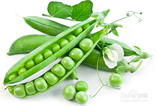 夏季上火怎么预防和处理?