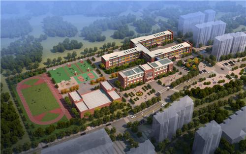 什么是集中申报