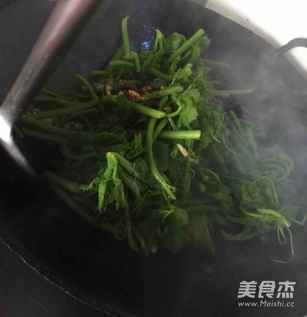 虾酱炒瓜苗的做法