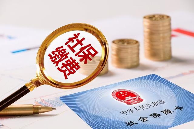 社会保障体系由国家通过什么实现