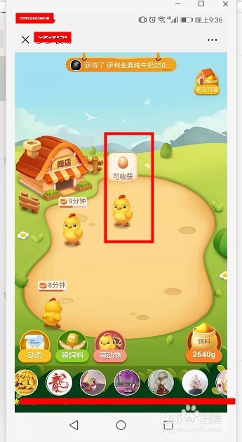多多牧场收获鸡蛋数量并继续领养母鸡流程