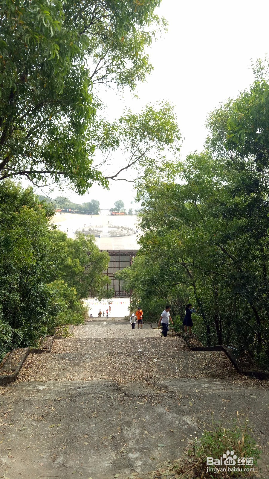 周末徒登芙蓉山
