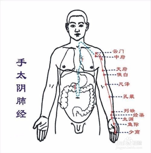 十二经络歌诀记忆法（1）