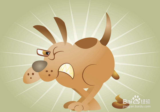 孕妇怀孕后还能继续养宠物吗？