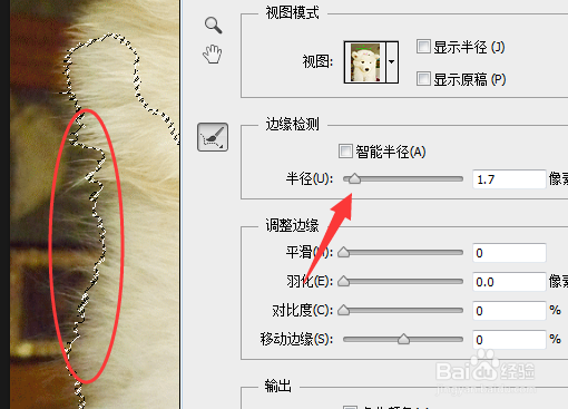 ps6里调整边缘笔刷没效果是为什么