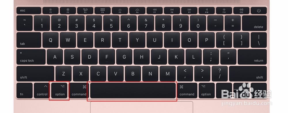 MacBook看下一张照片用什么键