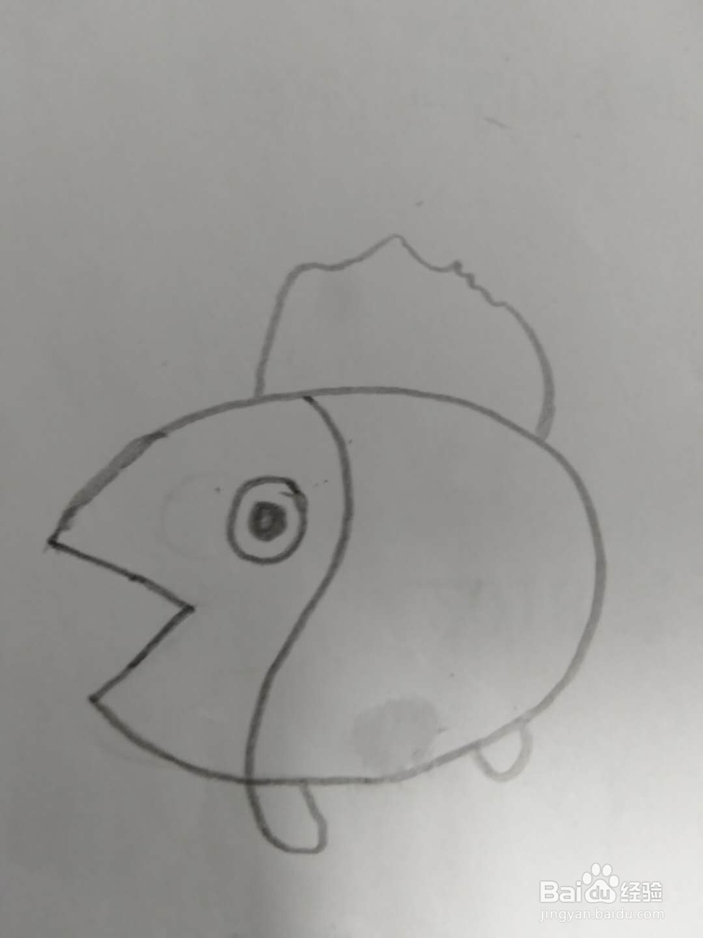 儿童简笔画,教你画金鱼