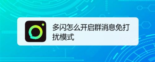 多闪怎么开启群消息免打扰模式