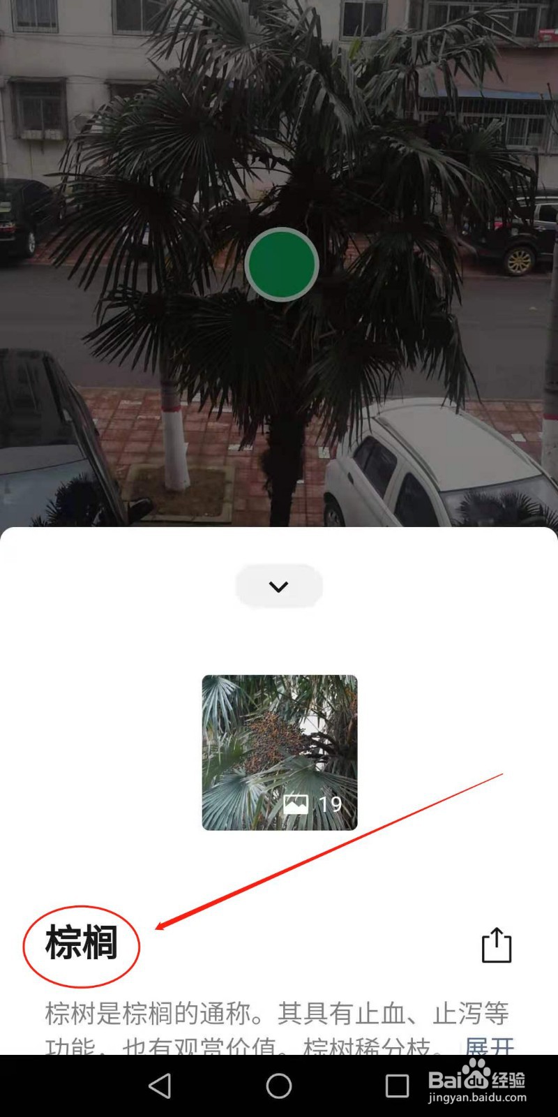 怎样用微信帮助我们识别花草树木