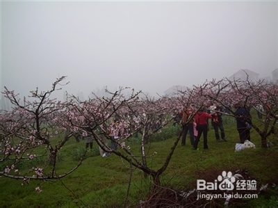 嘉兴自助游,去体验嘉兴人的生活