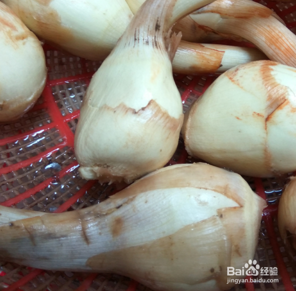 慈菇怎么处理