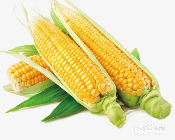 如何正确辨别玉米等级?
