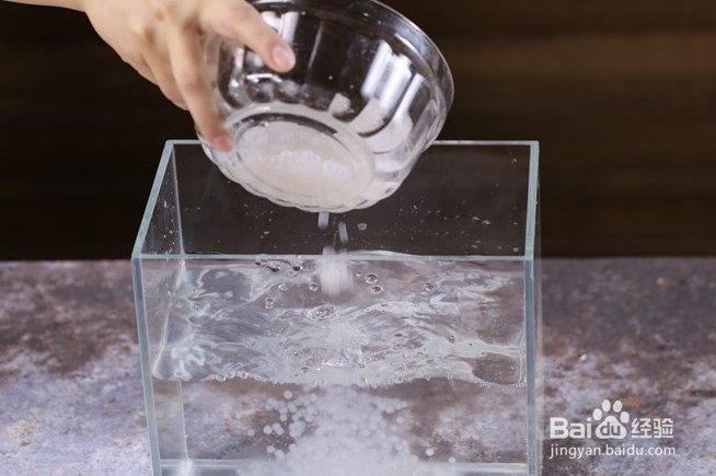 芒果西米露怎样做