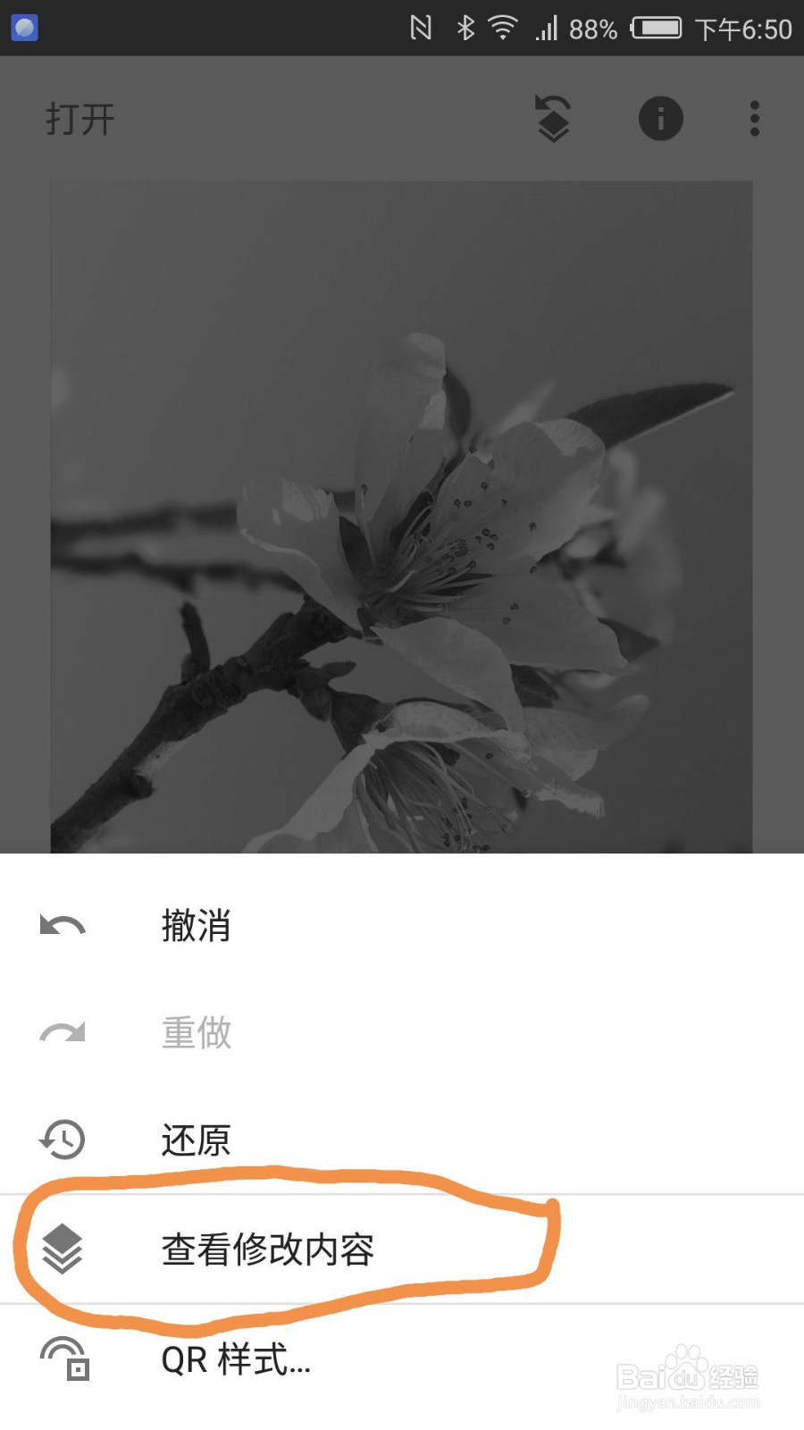 如何用snapseed进行图片的局部色彩保留