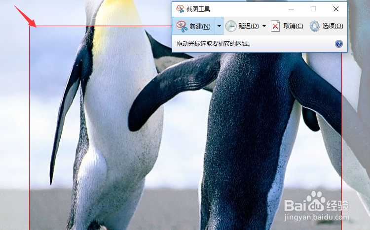 win10怎么使用系统自带截图工具