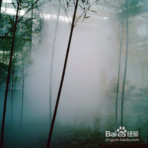 庐山阳光温泉门票自助游攻略