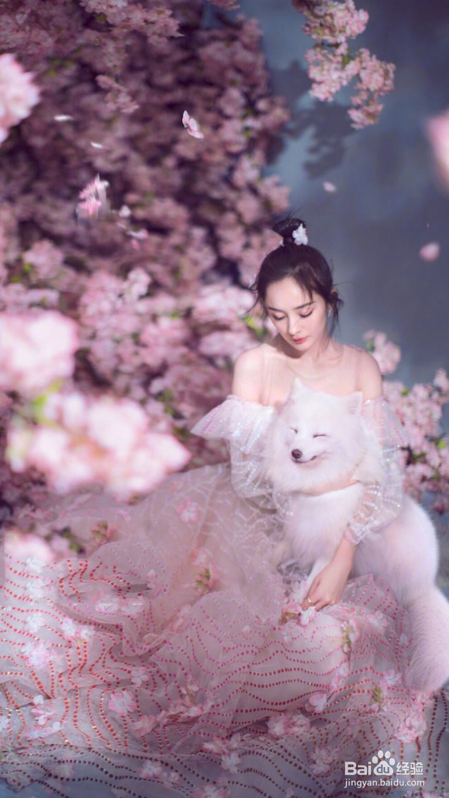 有哪些充满仙气的手机壁纸