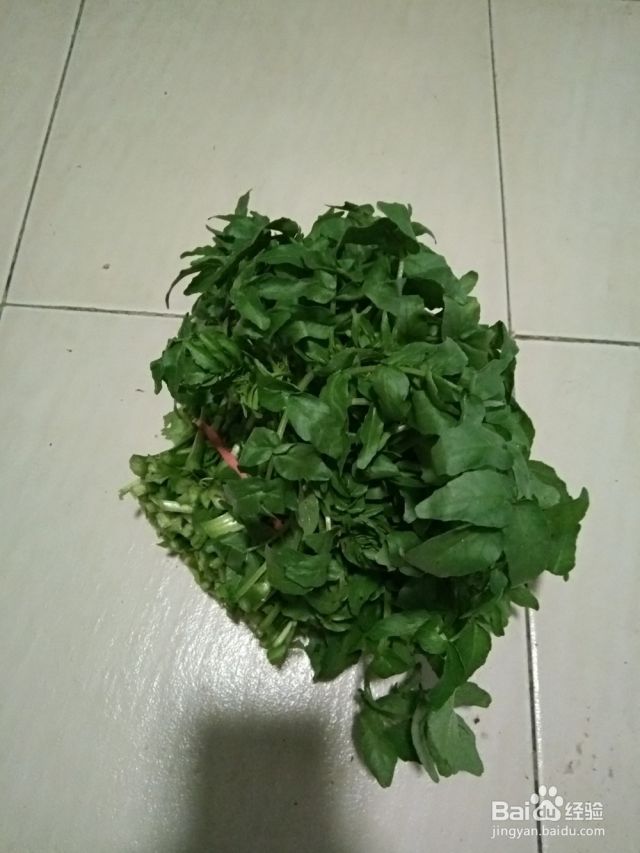 蚝油蒜蓉西洋菜的做法（蒜蓉蚝油西兰花的家常做法窍门）